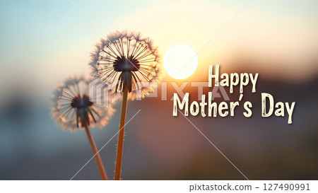 Dandelions silhouetted against the sunset with Mother's Day greeting card 127490991