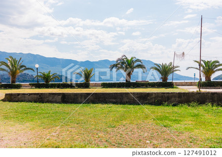 Palm trees on coastal park with mountain backdrop. Summer landscape, leisure destination, and Mediterranean greenery Palm trees on coastal park with mountain backdrop. Summer landscape, leisure destination, and Mediterranean greenery 127491012