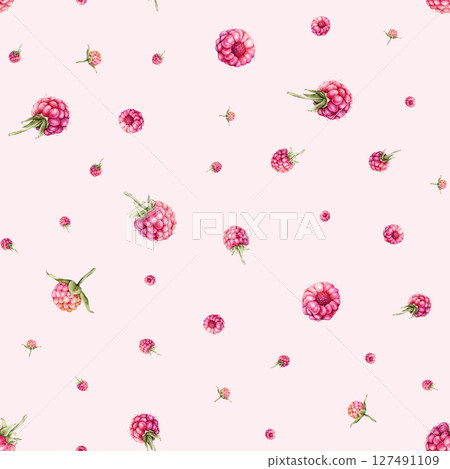 Watercolor seamless pattern with Raspberries and blackberries. Hand drawing illustration red berries. Graphic design element isolated on white background. 127491109
