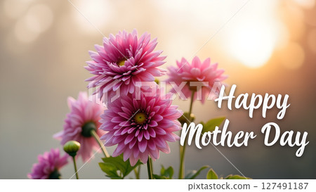 Elegant pink dahlia flowers with happy mother day greeting background design 127491187