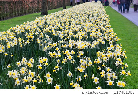 Keukenhof 45 Keukenhof 45 127491393