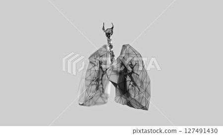 3d render of low-poly lungs over white background 127491430