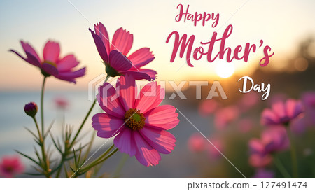 Happy Mother's Day image with pink cosmos flowers and a beautiful sunset 127491474