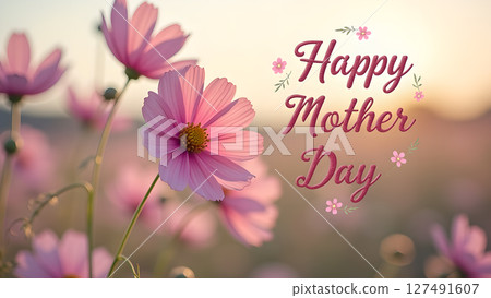 Serene pink cosmos flowers celebrating a joyful mother's day in soft light 127491607