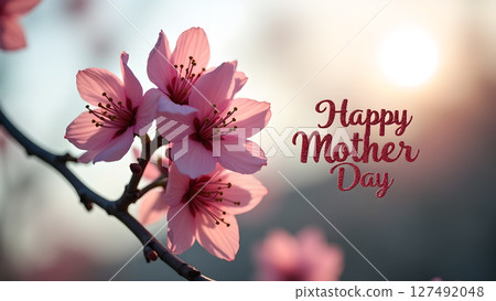 Beautiful pink cherry blossoms with "Happy Mother's Day" message against sunlight 127492048