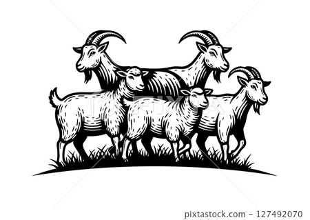 Vintage-style illustration of a group of goats and sheep standing together in grass, farm animal graphic in bold black lines. Vintage-style illustration of a group of goats and sheep standing together in grass, farm animal graphic in bold black lines. 127492070