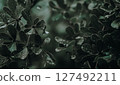 dark green leaves nature background 127492211