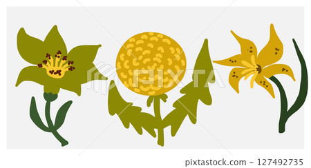 set of tropical flowers set of tropical flowers 127492735