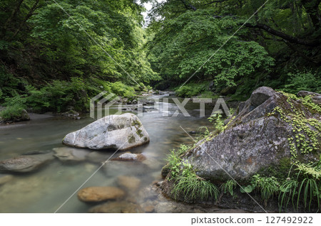 The Yunoki River in Minamiaizu flows through the fresh greenery The Yunoki River in Minamiaizu flows through the fresh greenery 127492922