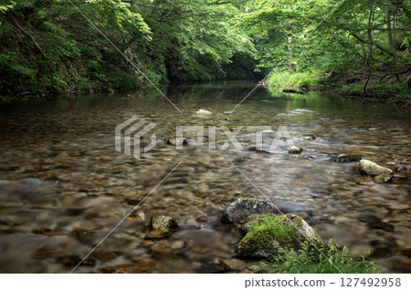 The Yunoki River in Minamiaizu flows through the fresh greenery The Yunoki River in Minamiaizu flows through the fresh greenery 127492958