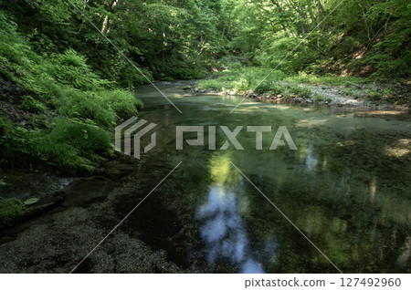 The Yunoki River in Minamiaizu flows through the fresh greenery 127492960