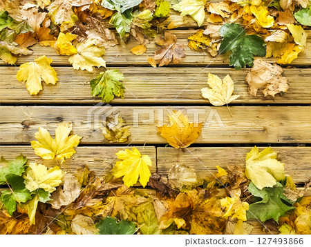 落葉放置在木板上的圖像素材 落葉放置在木板上的圖像素材 127493866