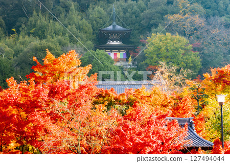 Eikan-do秋葉京都 127494044