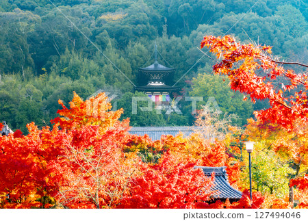 Eikan-do秋葉京都 127494046