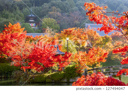 Eikan-do秋葉京都 127494047