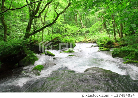 Oirase stream Oirase stream 127494054