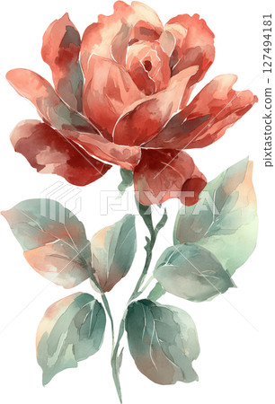 Watercolor illustration of single red rose with green leaves, showing delicate petals and soft color blending in natural style 127494181
