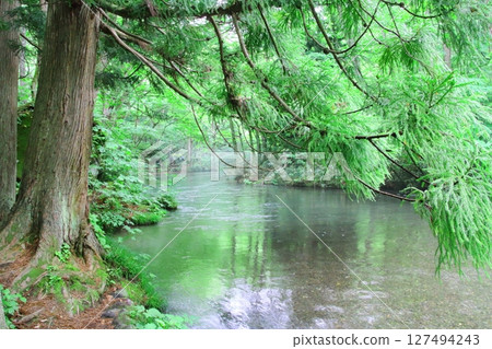 Oirase stream Oirase stream 127494243