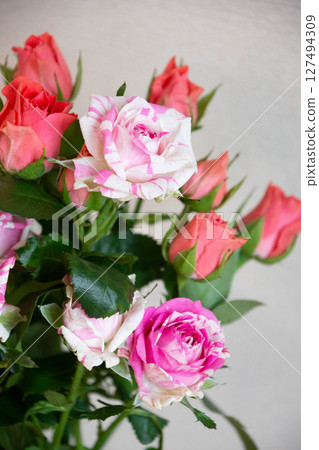 Pink roses Pink roses 127494309