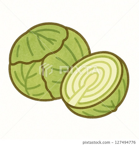 簡單的扁平捲心菜插圖 127494776