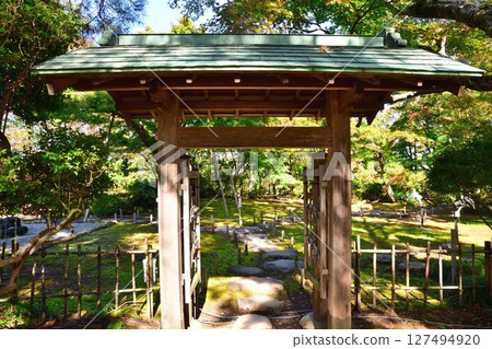 Koshiji Maple Garden (Niigata Prefecture) Koshiji Maple Garden (Niigata Prefecture) 127494920