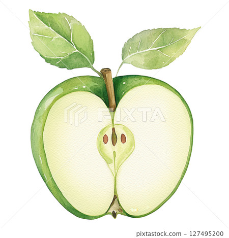 Green apple slice with leaves watercolor painting showing fresh healthy fruit Green apple slice with leaves watercolor painting showing fresh healthy fruit 127495200