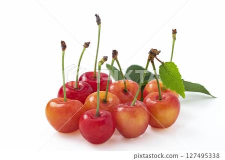 White background cherry 127495338