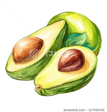 Avocado fruit with creamy texture and seed, fresh green color and leaf detail 127495548