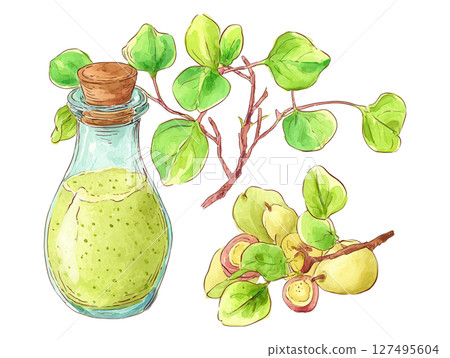 Green smoothie in glass bottle with cork, fresh leaves and fruit branch, healthy drink Green smoothie in glass bottle with cork, fresh leaves and fruit branch, healthy drink 127495604