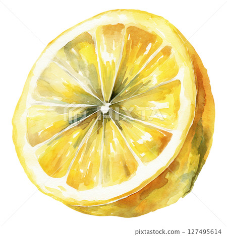 Watercolor lemon slice with bright yellow and green shades, fresh citrus fruit illustration 127495614