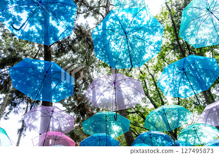 Umbrella sky 127495873