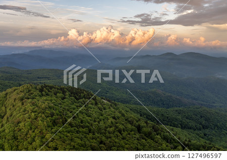 Mountain forest with green canopies at sunset in summertime season. North Carolina wild woods nature in summer Mountain forest with green canopies at sunset in summertime season. North Carolina wild woods nature in summer 127496597