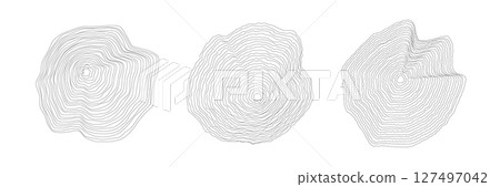 Set of rounded wood cuts on white with wavy, concentric annual rings Set of rounded wood cuts on white with wavy, concentric annual rings 127497042