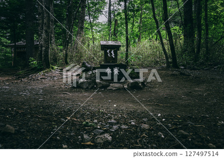 荒屋山神社內殿靜謐的森林中的祈福壇－祈求好運的能量點 127497514