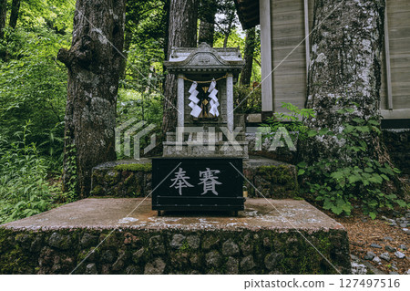 荒屋山神社內殿靜謐的森林中的祈福壇-祈求好運的能量點 荒屋山神社內殿靜謐的森林中的祈福壇-祈求好運的能量點 127497516