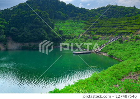 The calm waters of Lake Miyagase and the lush green slopes of Kiyokawa Village, Aiko District, Kanagawa Prefecture The calm waters of Lake Miyagase and the lush green slopes of Kiyokawa Village, Aiko District, Kanagawa Prefecture 127497540