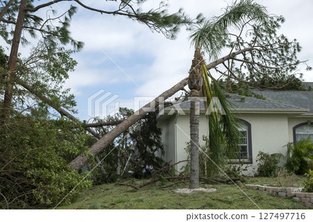 Hurricane damage to a house roof in Florida. Fallen down big tree after tropical storm winds. Consequences of natural disaster 127497716