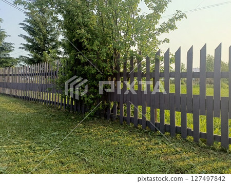 A wooden fence with pointed tops runs along a grassy area. A tree grows beside the fence, surrounded by green grass and a clear sky in the background. A wooden fence with pointed tops runs along a grassy area. A tree grows beside the fence, surrounded by green grass and a clear sky in the background. 127497842