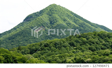 mountain landscape with forest 127498471