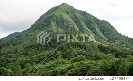 mountain landscape with forest and mountains 127498474