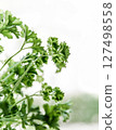CloseUp Fresh parsley Leaves Wicker Basket Indoors 127498558