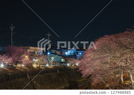 Scenery of the Kakegawa cherry blossoms around Kakegawa Castle in Kakegawa City (Shizuoka Prefecture) Scenery of the Kakegawa cherry blossoms around Kakegawa Castle in Kakegawa City (Shizuoka Prefecture) 127498985
