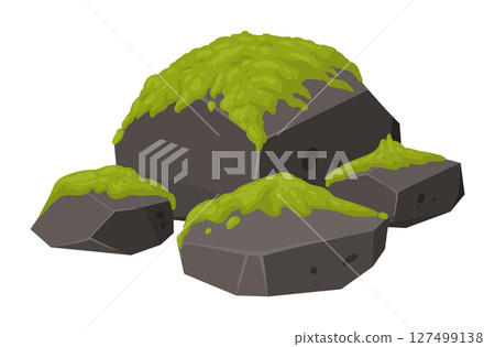 Rock cover with moss. Creeping moss on stone, moss lichen plants grows on grey rock flat vector illustration. Cartoon green moss grows on stone 127499138