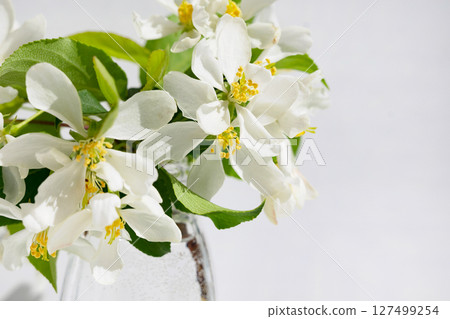Relaxing tea experience with a cup of herbal tea and fresh blossoms on a serene white table setting during springtime 127499254