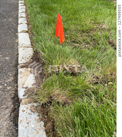 Grass Edge Marked With Flag Near Stone Pathway for Landscaping Project 127499505