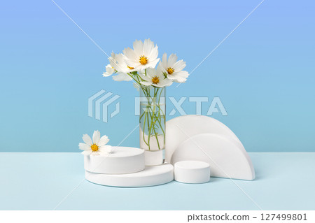 White round podium set on a gradient blue-green background white cosmos flowers. Concept scene stage showcase for new product, sale, cosmetic. Abstract geometric composition in minimalist design. White round podium set on a gradient blue-green background white cosmos flowers. Concept scene stage showcase for new product, sale, cosmetic. Abstract geometric composition in minimalist design. 127499801