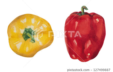 Watercolor Bell Pepper Vector Set. Hand Drawn Vegetables Food Illustration 127499887