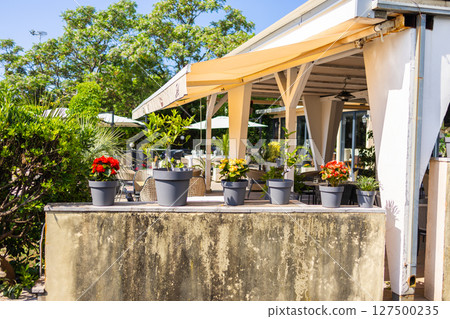 Potted flowers and greenery in front of sunny outdoor cafe terrace. Garden decor, leisure space, and summer atmosphere. 127500235