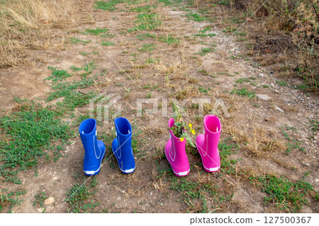 Pink and blue rubber boots with beautiful green vineyard in autumn. Country style. Nature background.  127500367