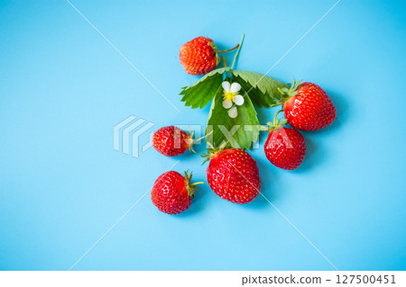 Ripe red strawberries on a blue background from above 127500451